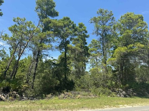 Carrabelle, FL Wooded Corner Lot
