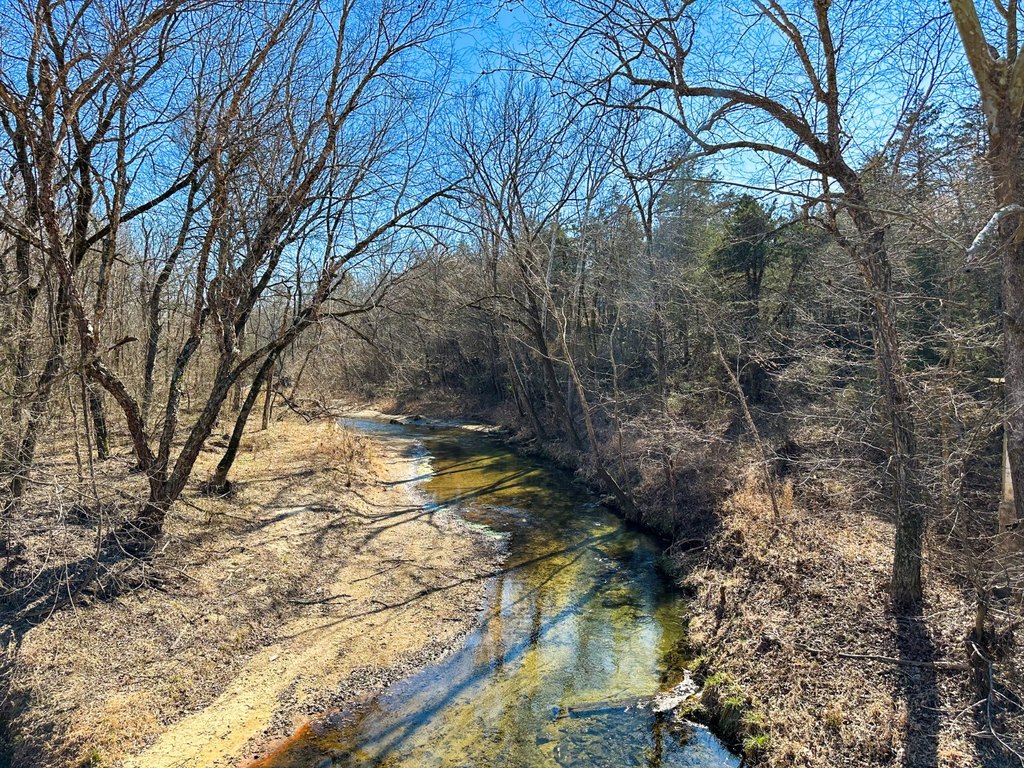 Picture 4