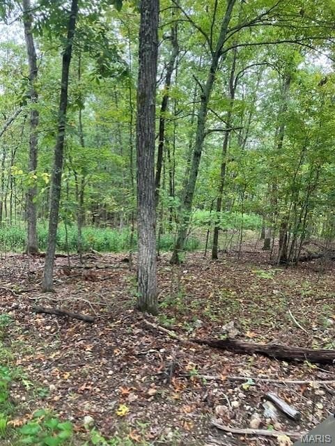 Wooded Land Near National Forest