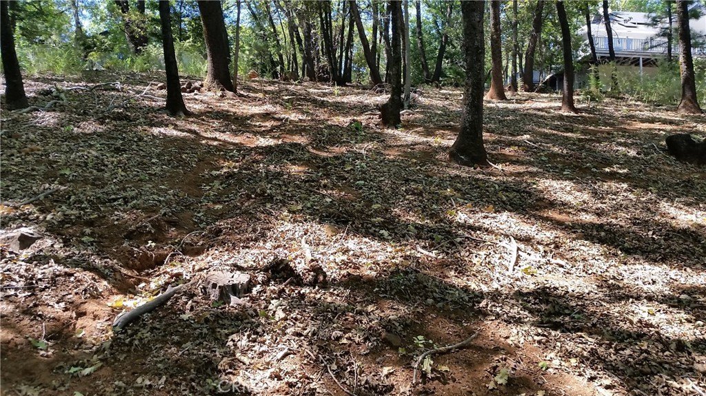 Magalia Land with View Potential