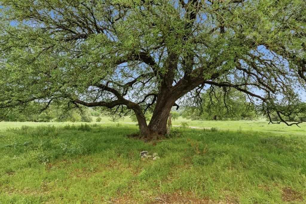 Picture 27