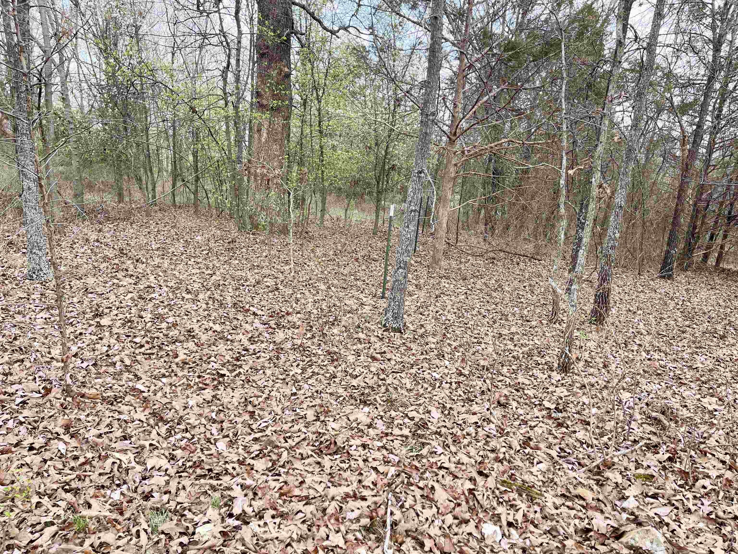 Highway Frontage Acreage in Viola