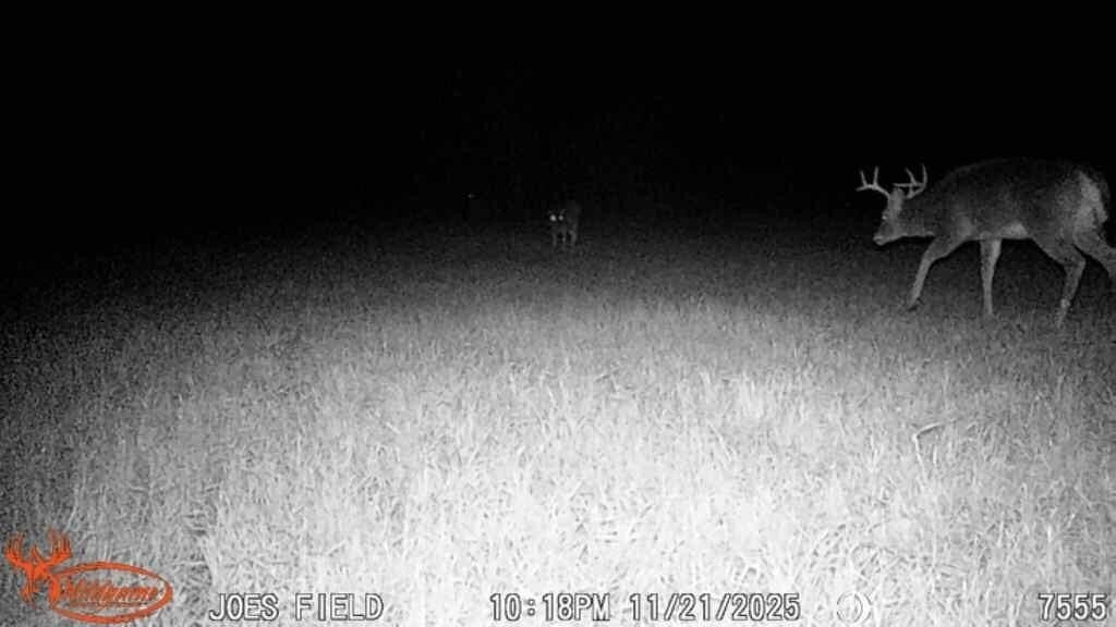 Picture 25