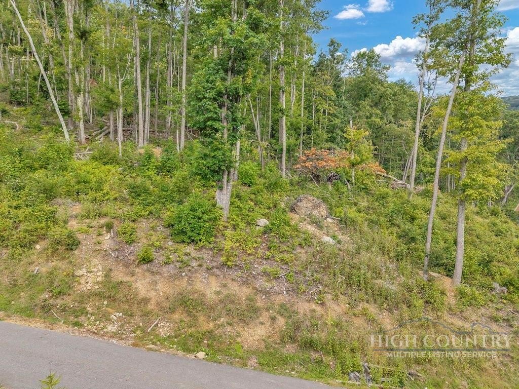 Picture 28