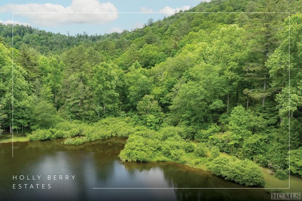 Lakefront Lot in Holly Berry