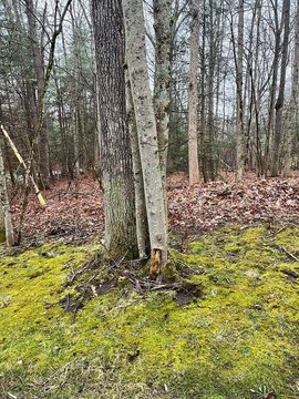 LAND - BECKLEY, WV