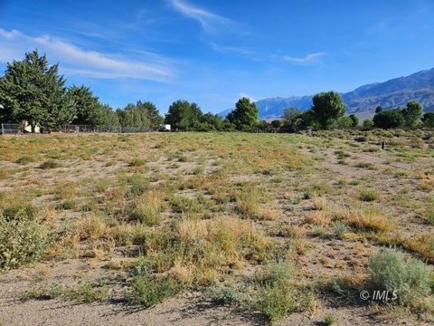 LAND - Chalfant Valley, CA