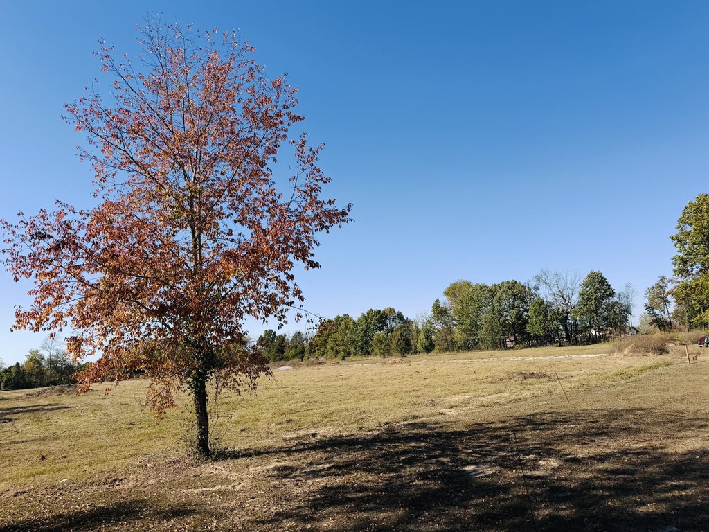 Picture 4