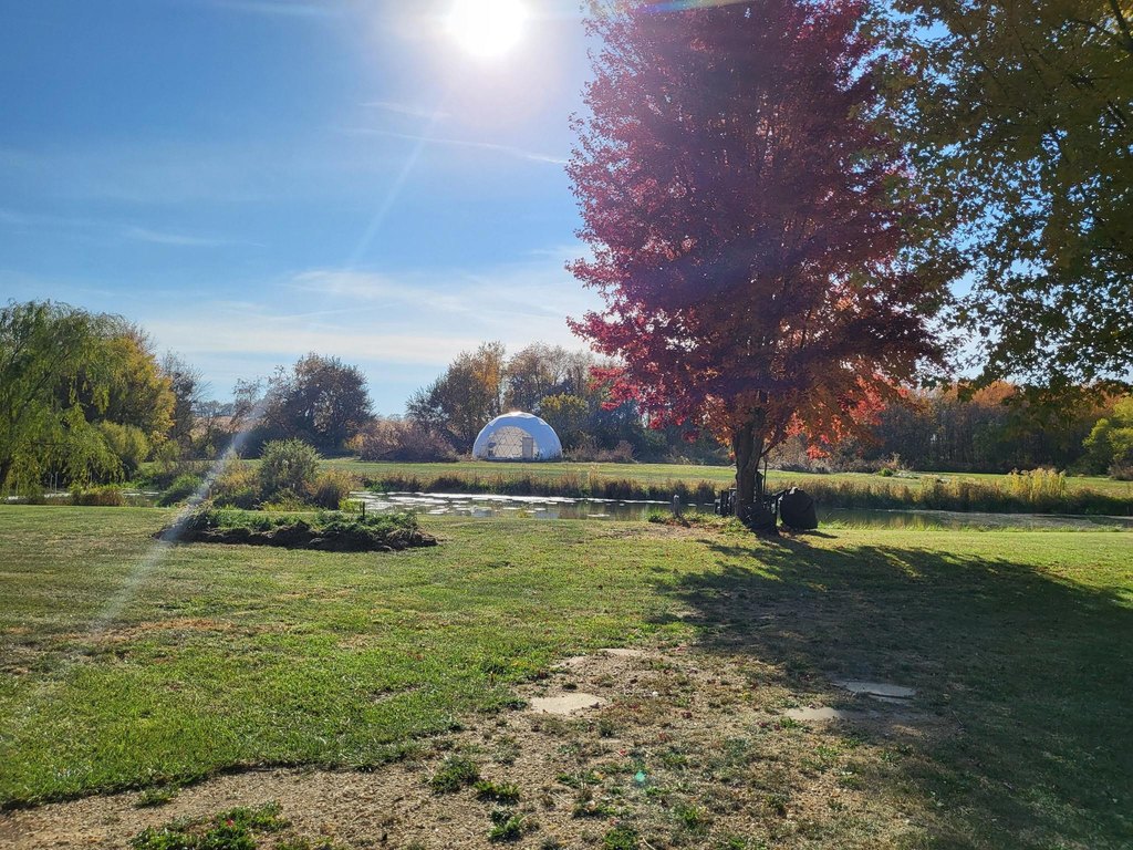 Picture 6