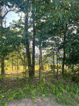 LAND - Paducah, KY
