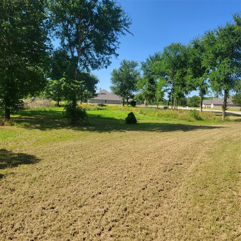 Picture 4