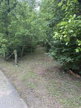 Wooded Acreage in Knoxville