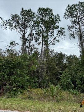Residential Land in Lehigh Acres