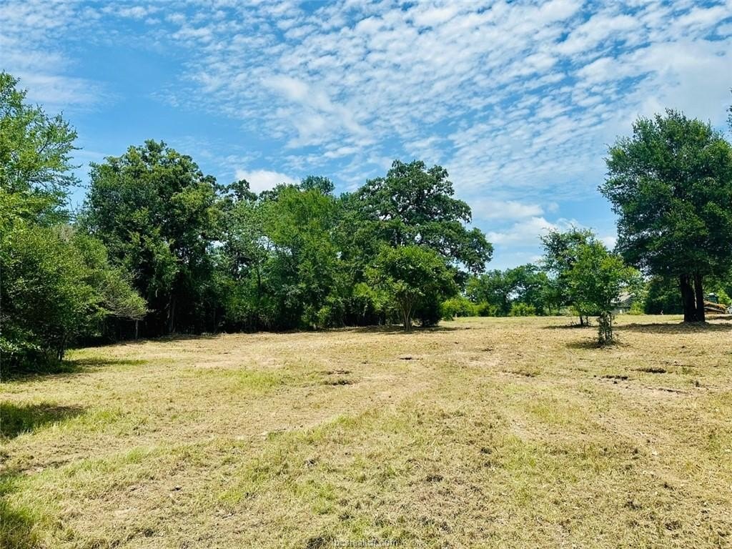 Picture 14