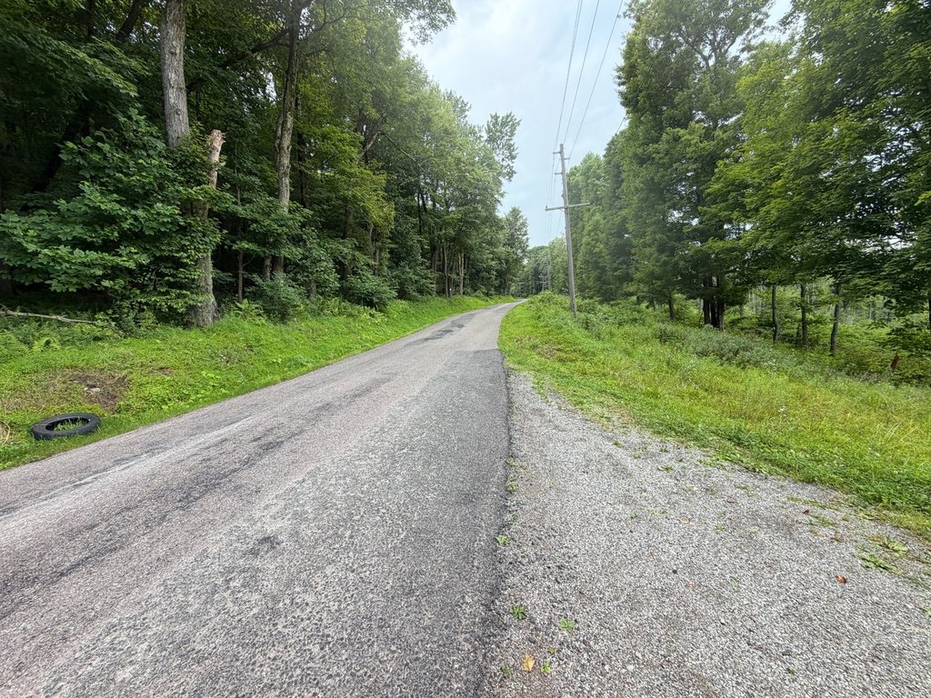 Picture 4