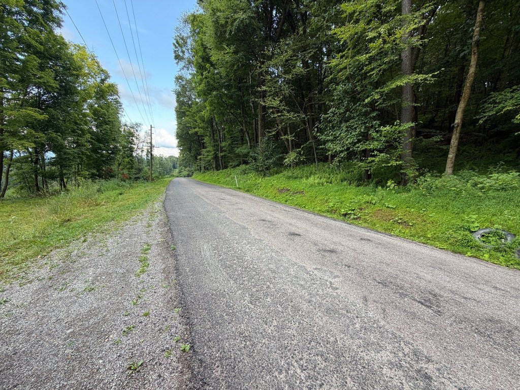 Picture 30