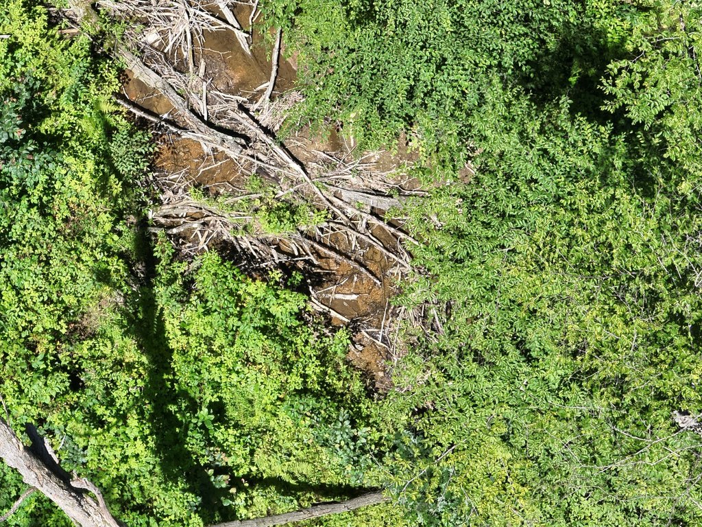Picture 14
