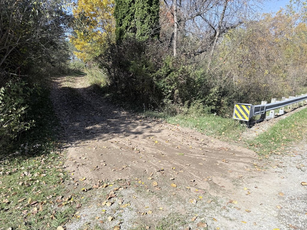 Picture 2
