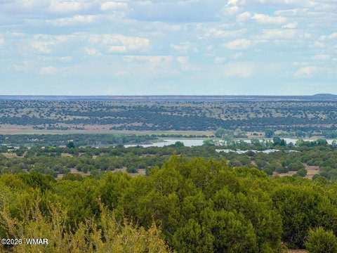LAND - Show Low, AZ
