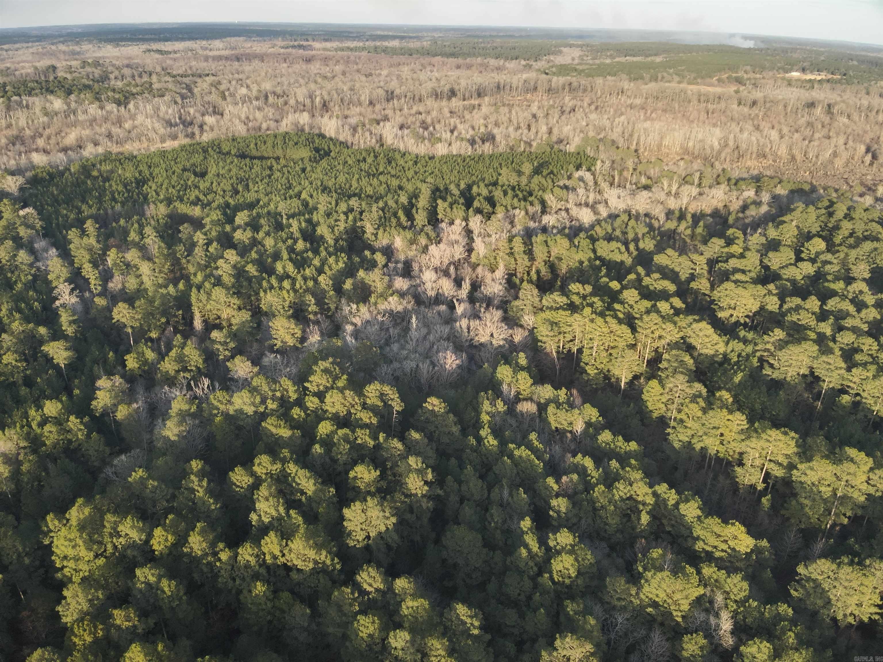 Timberland Parcel Near Junction City