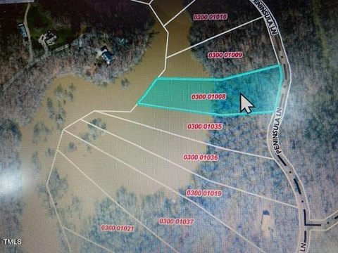 Waterfront Wooded Land in Henderson