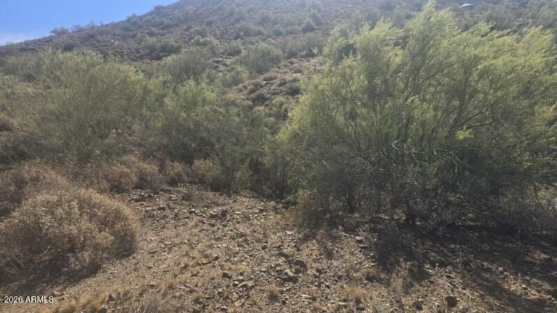 Picture 10