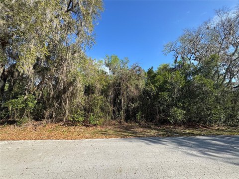 Lake Panasoffkee Land Opportunity