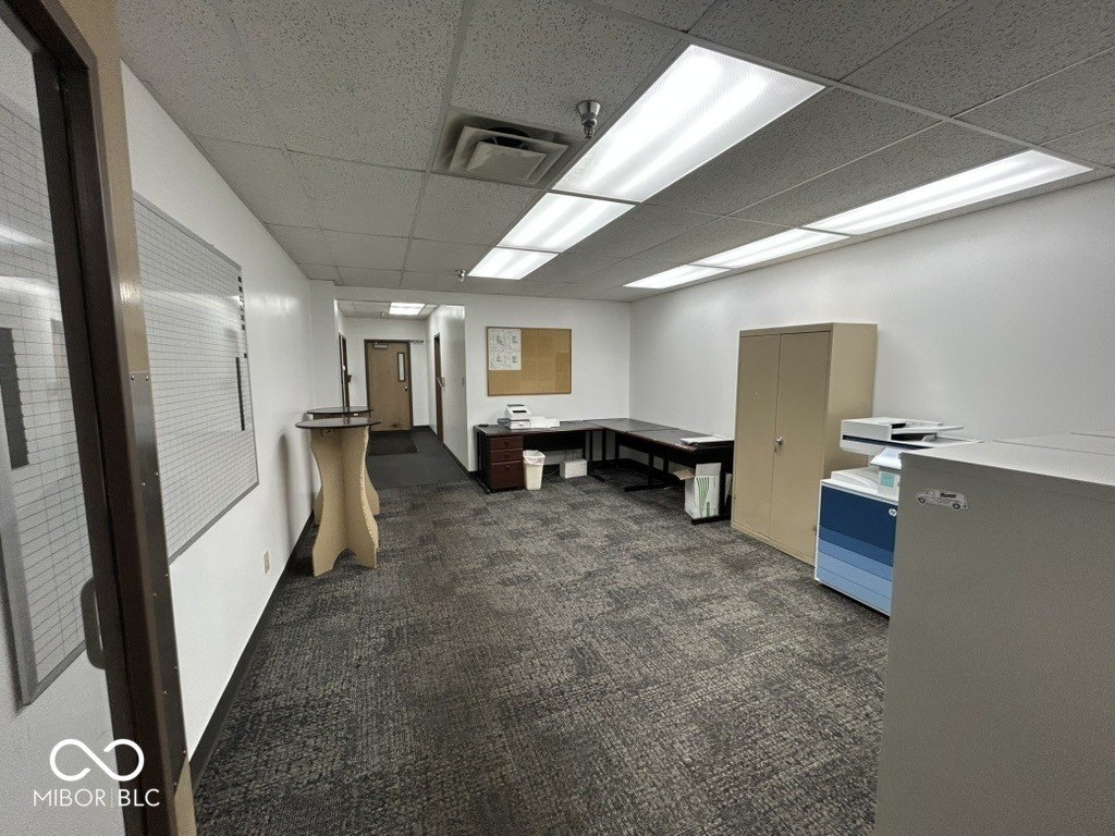 Picture 6