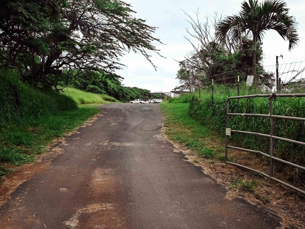 Picture 41