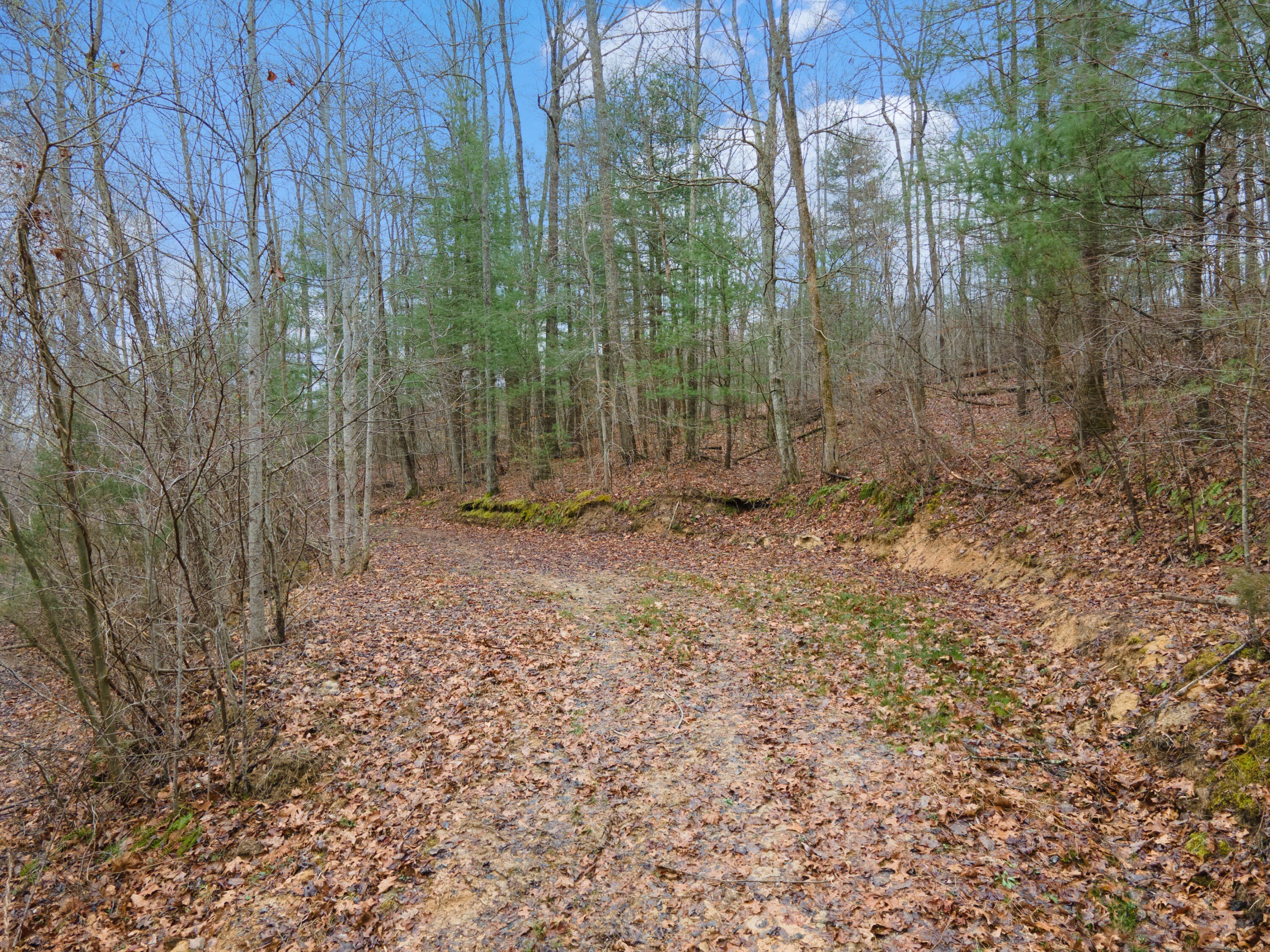 Land Near Red River Gorge
