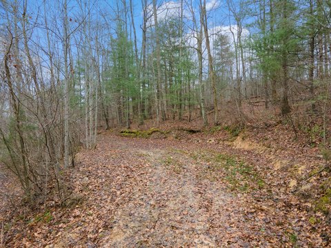 Land Near Red River Gorge