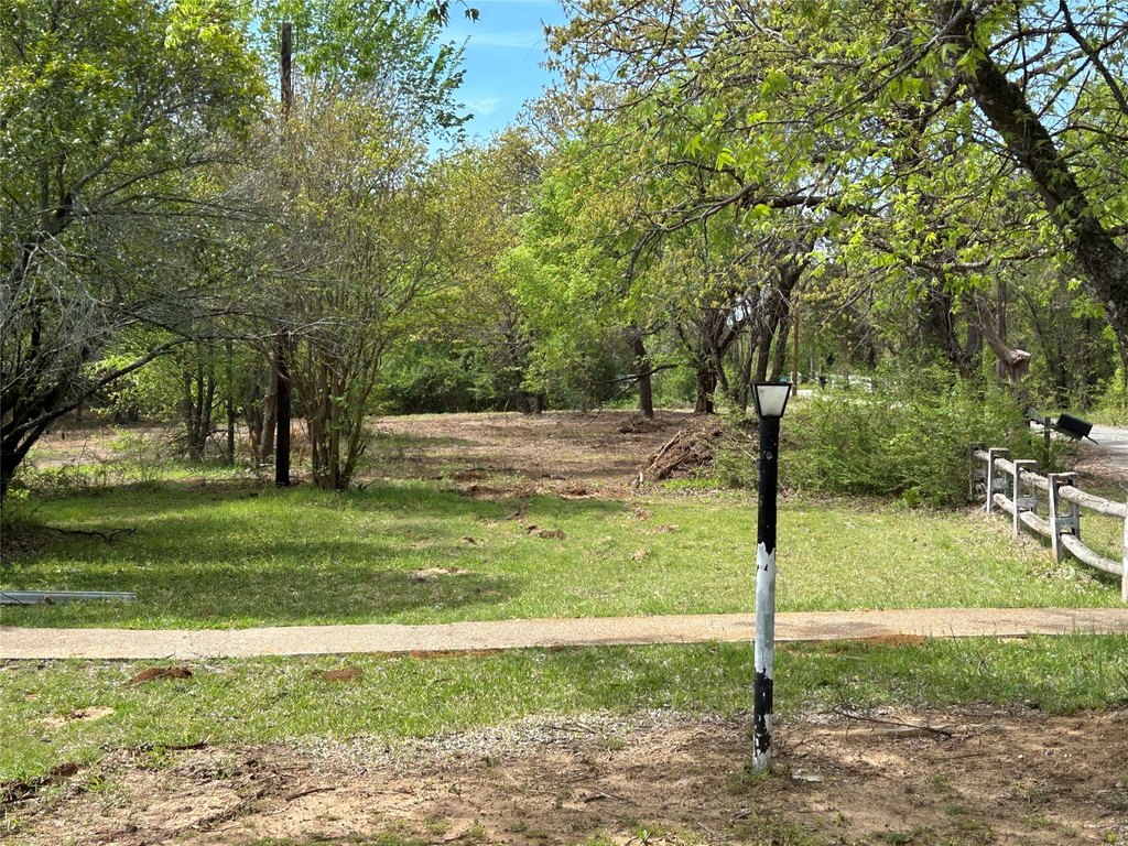 Picture 3