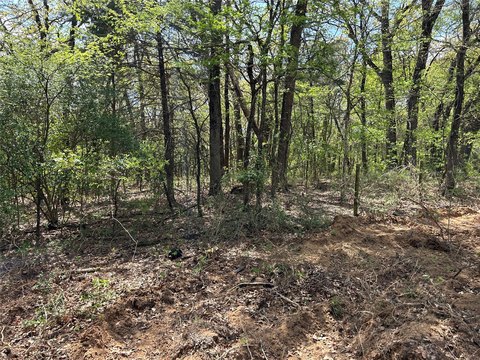Cleared Land in Denison, Texas