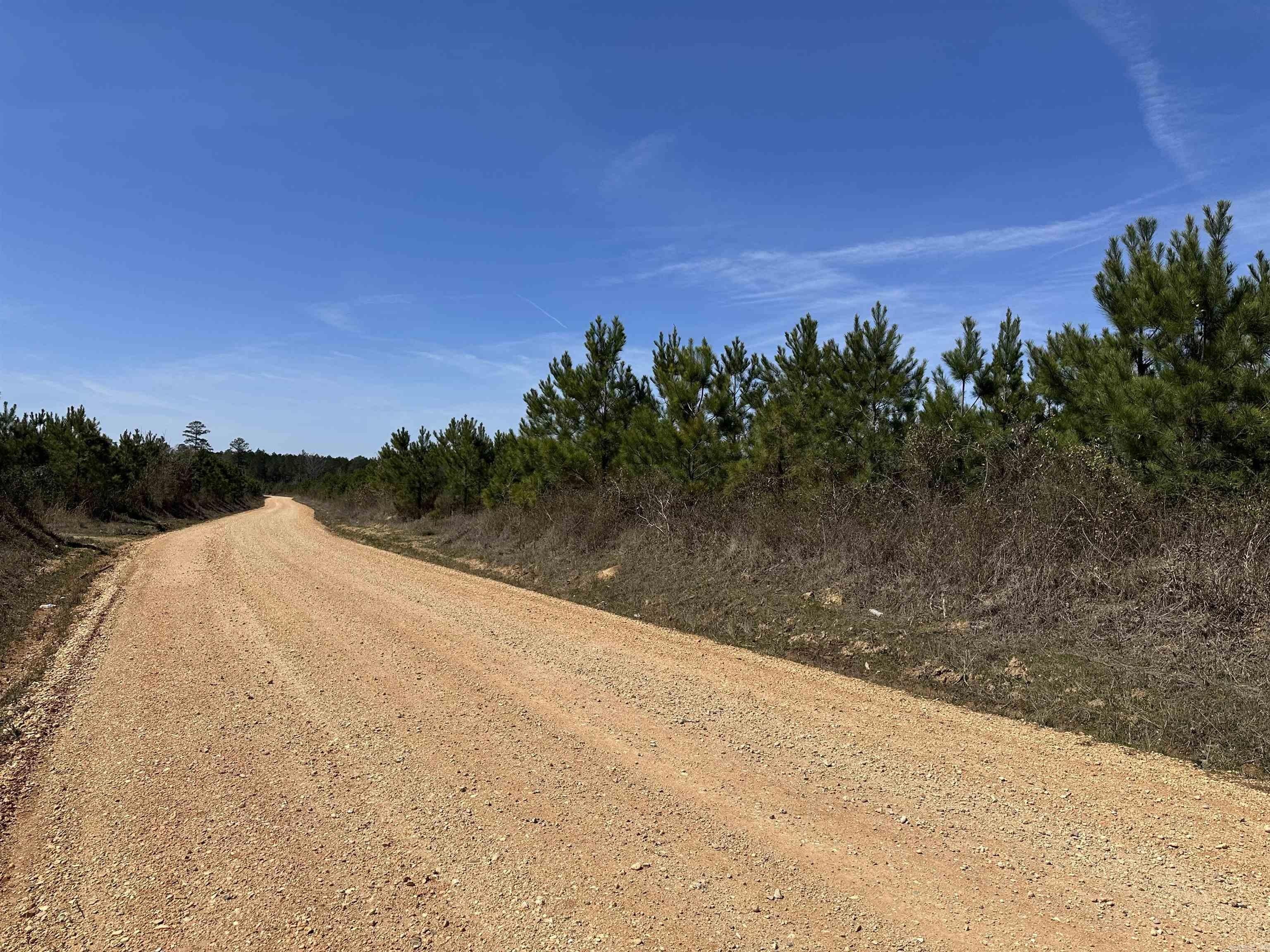 Drew County Timber Investment Land