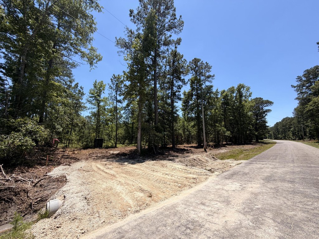 Picture 7