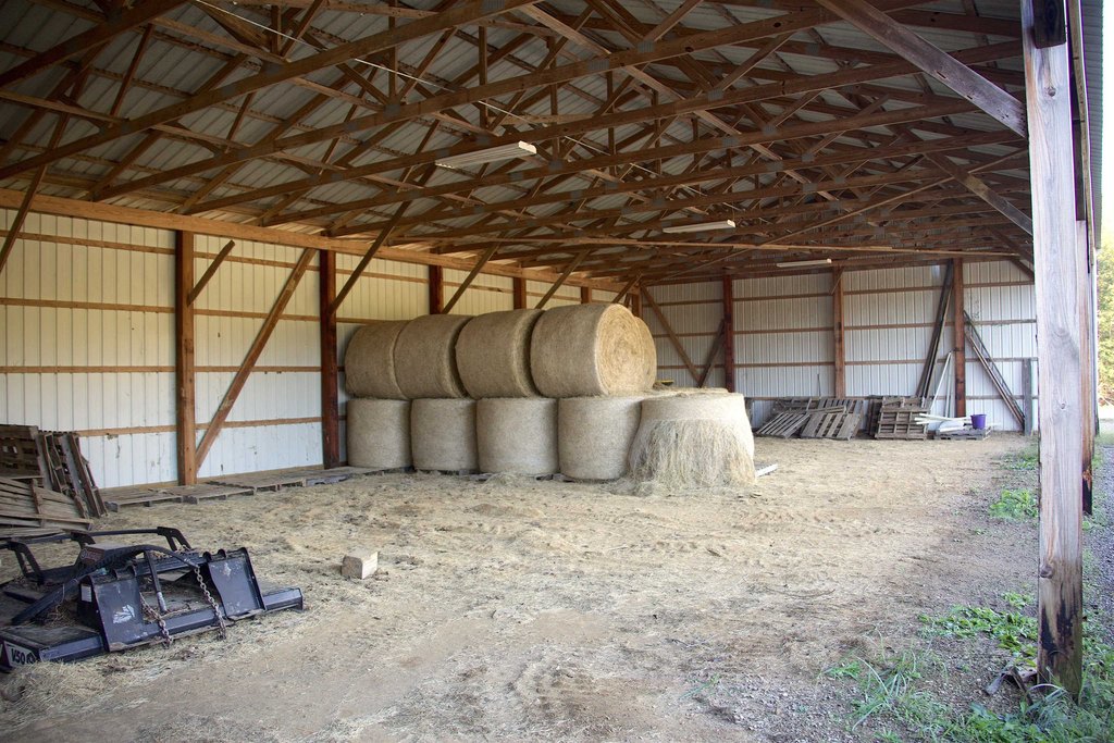 Picture 16