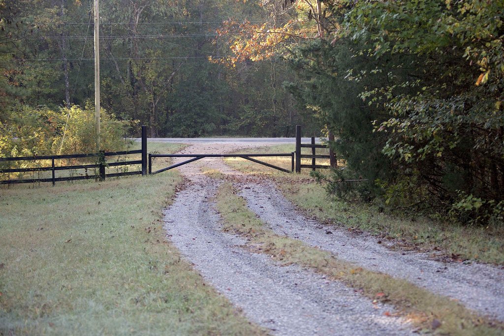 Picture 20