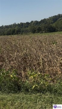 Lots and Land, Campbellsville, KY