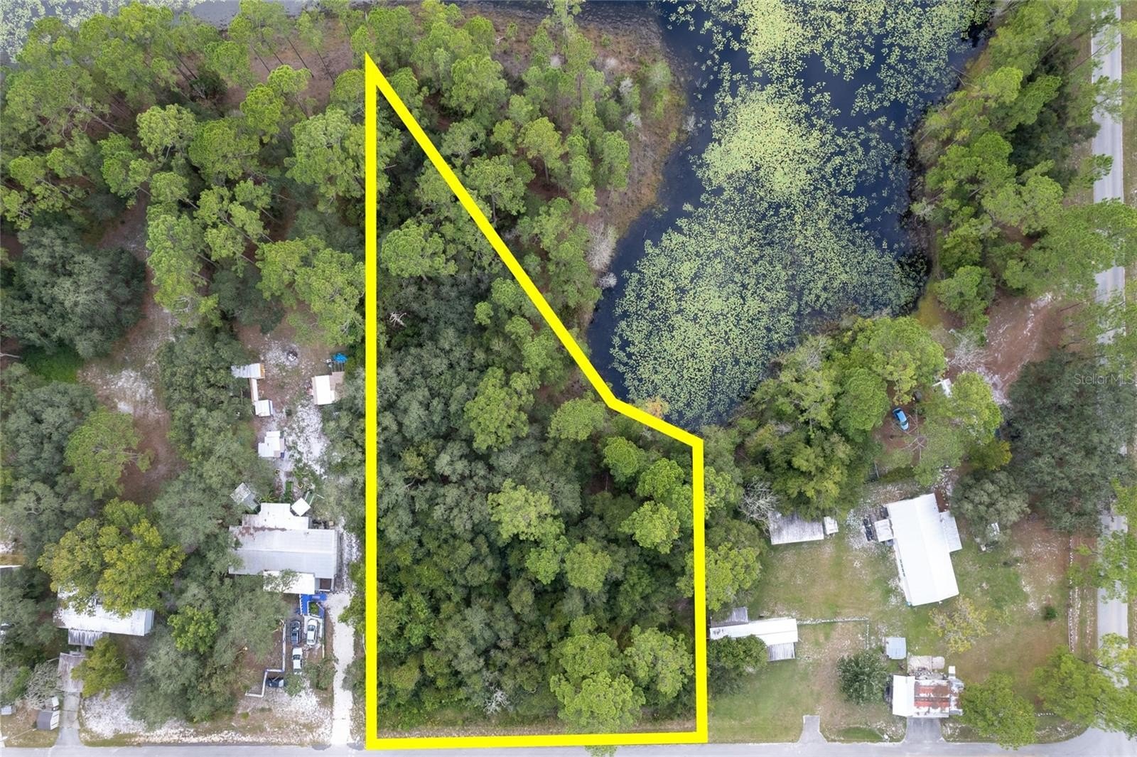 Lakefront Acreage in Eustis, Florida