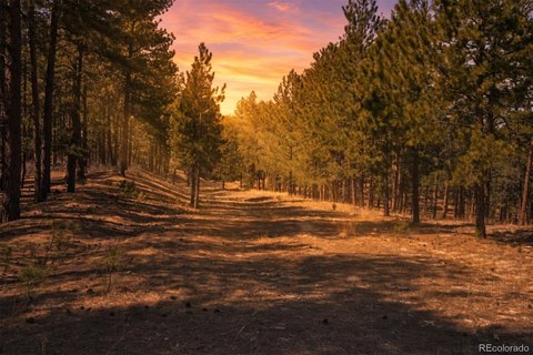 Wooded Land Parcel