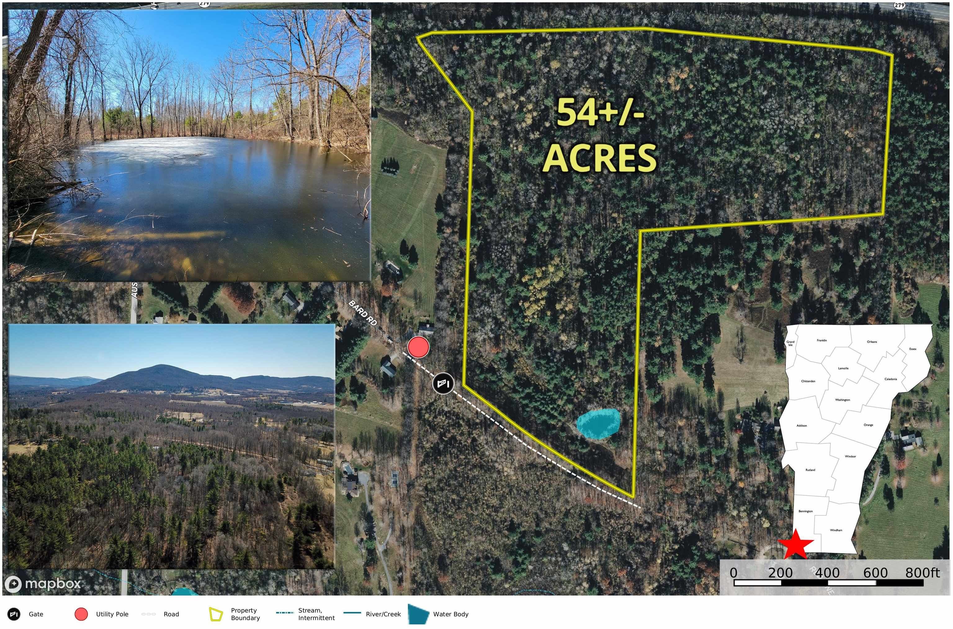 54 Acres Wooded Land
