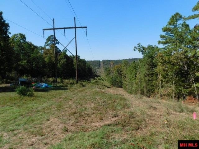 Picture 2