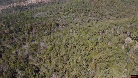 Salesville Wooded Land Opportunity