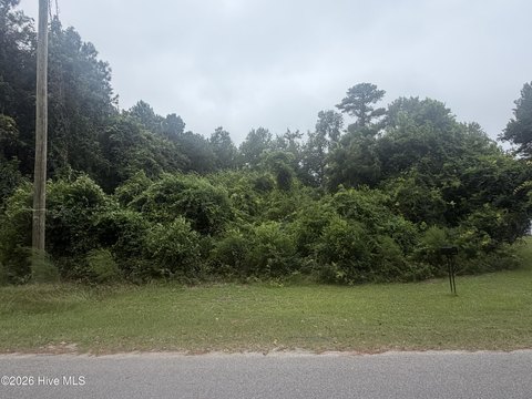 Land, Salemburg, NC