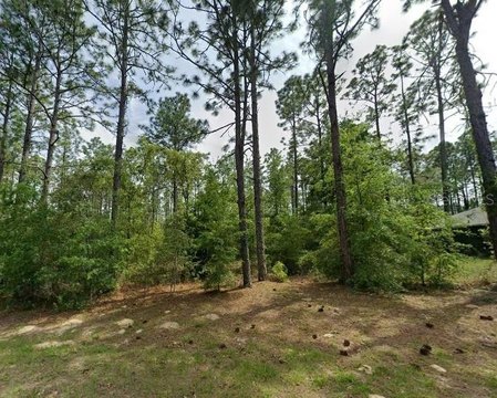 Land, CITRUS SPRINGS, FL
