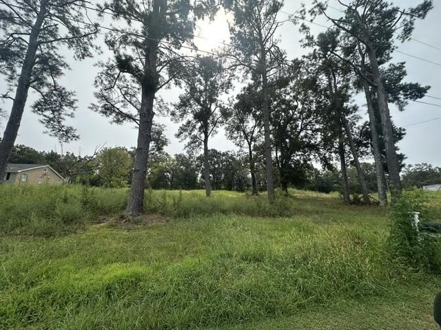 Picture 2