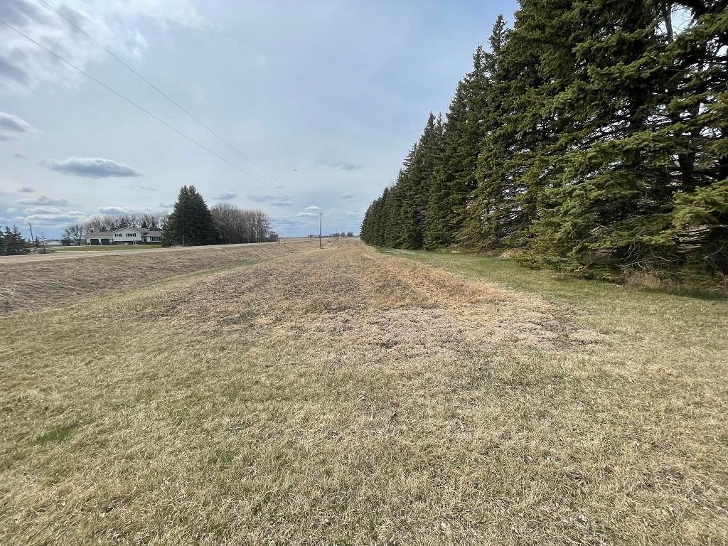 Picture 10