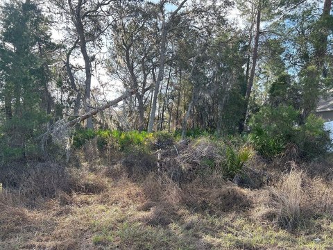 Vacant Homesite in Poinciana, FL