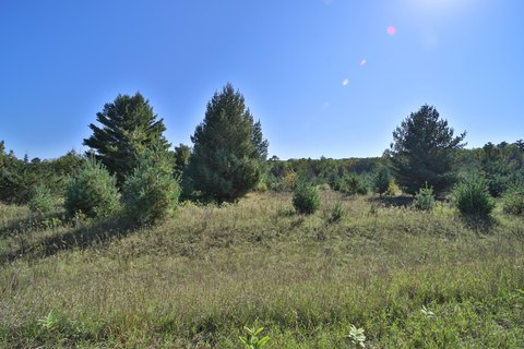 Residential Lot in Sylvan Shores