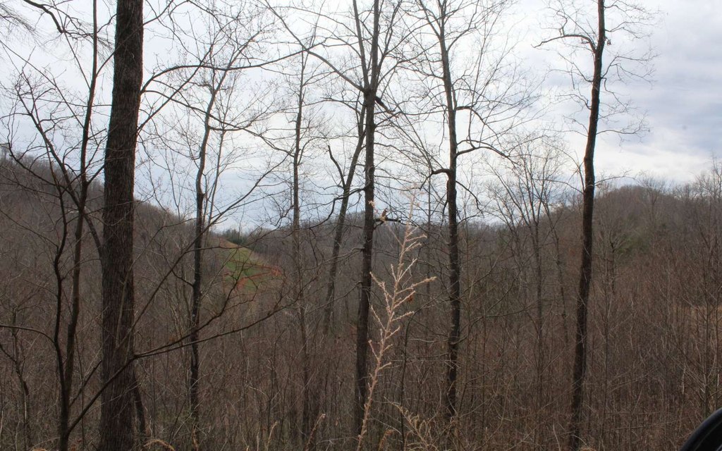 Picture 11